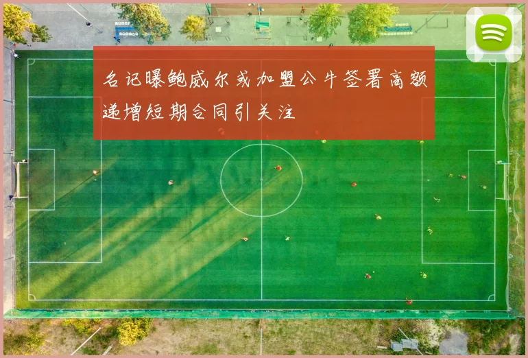 名记曝鲍威尔或加盟公牛签署高额递增短期合同引关注
